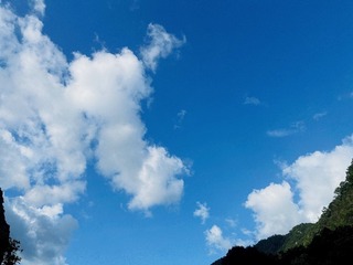 0865F331-711A-4A23-B876-9C19E4864391/L0/001