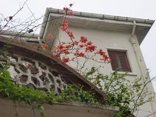 CIMG9953.JPG
