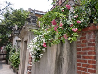 CIMG0128.JPG