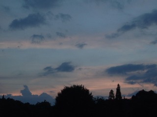 2306039