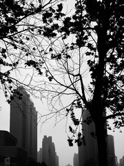 E4843F9E-8250-4AD6-B0F9-388708DD0369/L0/001