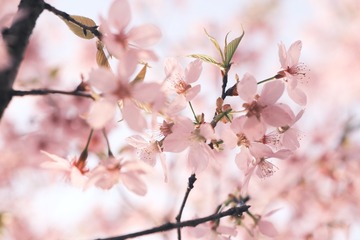 F04AAC0D-01E5-4412-B8E8-C25F1F014744/L0/001