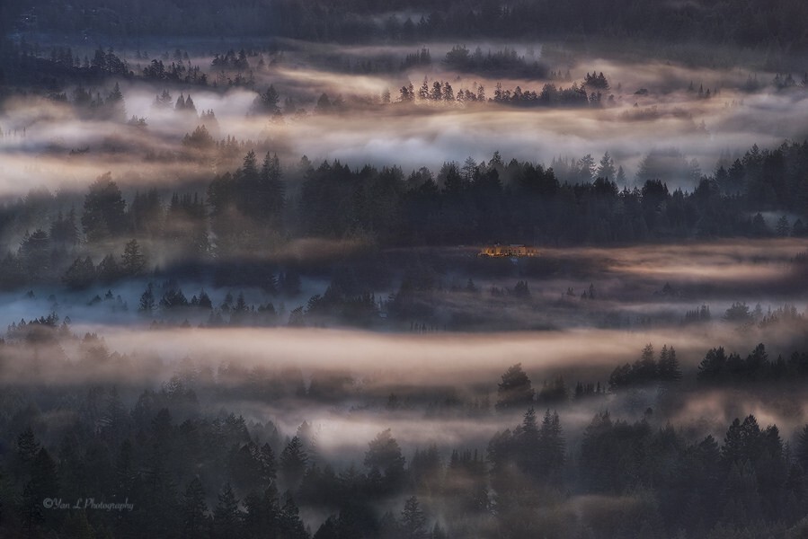 去年圣诞节早上摄于北加州Santa Cruz山脉。Nikon 18-200mm<a href="https://tuchong.com/25480215/" target="_blank">@185mm</a>，F11，3“，ISO50.  雾流动很快，不需要很长时间的曝光就可以这样的雾状。  构图的时候特别找了个亮着圣诞节灯的房子给画面画龙点睛的感觉。 后期几乎没有做啥，就是提高了光线照的地方的亮度，最后进行锐化。