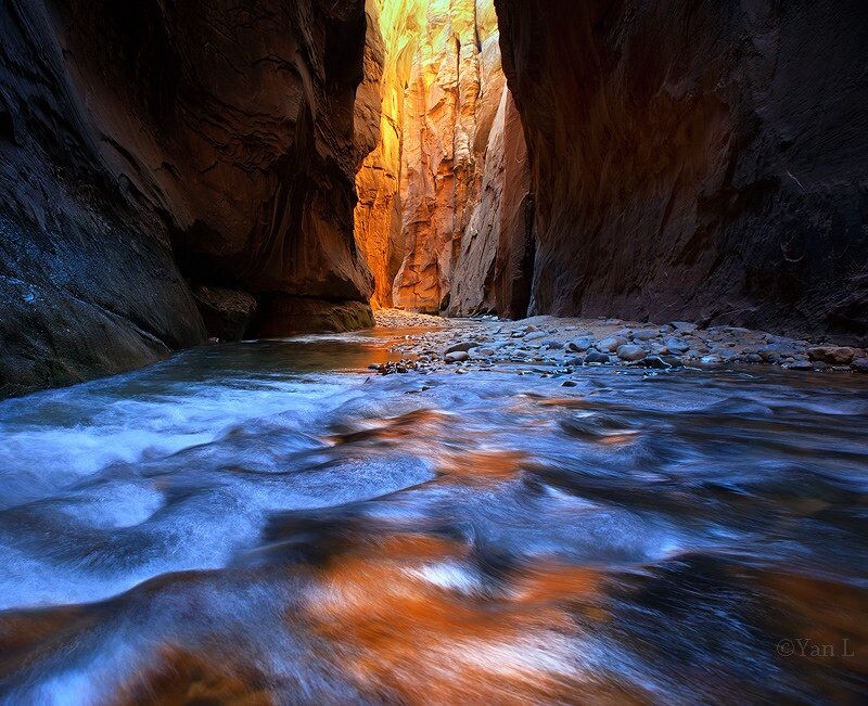 金色的峡谷<br />
锡安国家公园the narrows的溪流被染上了颜色