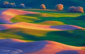 fields.jpg