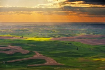 sunRay1.jpg