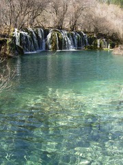 DSCN0503.JPG