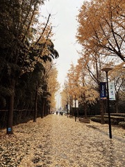 F8E3A0B1-EE26-47AC-85D9-792C8D472E7F/L0/001