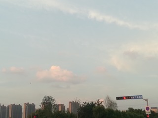2954680