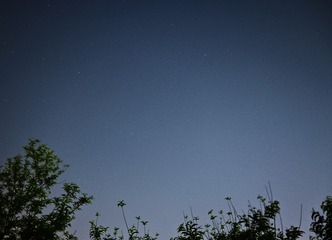 60DD8A67-DD93-4ED8-9CC4-67E5C5E8C101/L0/001