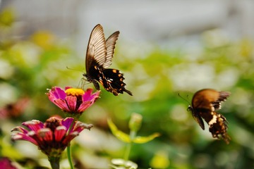 E765B761-A545-4904-8A41-F50C76D3A2E5/L0/001