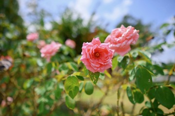 6F5FFB6F-E8E9-4370-B54B-1EDC2FA9A601/L0/001