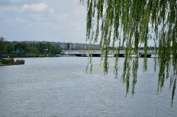 BB389E35-0135-43BC-99DC-01C5D1168208/L0/001