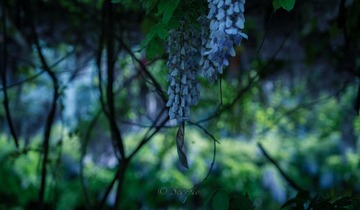 714CF7A1-C55E-4788-8FE5-34A59567C357/L0/001