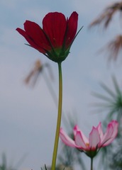 7CB7BA04-01C6-428D-A895-DF4C7BF468DF/L0/001