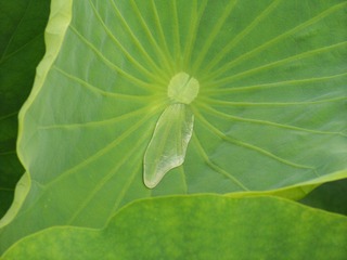 100_6156.JPG