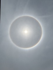 D1259F8A-0BA1-4F17-B813-2B132CB7F72E/L0/001