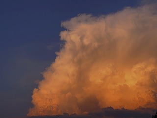 22571E2C-373B-4F75-B0CA-0A7B1604938D/L0/001