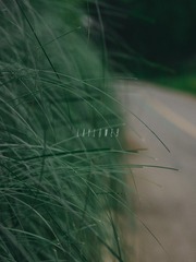 1091C957-7454-408F-87D2-A8085E33D2F4/L0/001