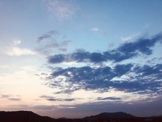 1F9F6F69-22C7-4A10-BD9C-FA3D0D221927/L0/001