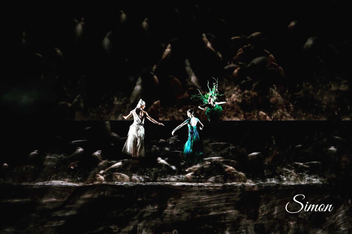 杨丽萍《平潭印象》