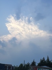 5CB09EC4-783A-465F-B058-BF625332B0D6/L0/001