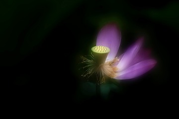 743E2CBF-0BDF-4E02-A226-2510EF37FE06/L0/001