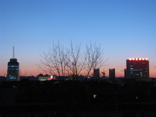 IMG_6565.JPG