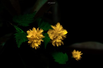 EF9A867F-0FDB-4E4D-B5F3-846EB773D6CA/L0/001