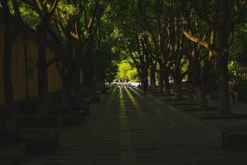 4845589F-C211-4CAC-A0E9-F344EC45F528/L0/001