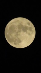 657B638C-6B1F-4B82-9168-9B913E9CF770/L0/001