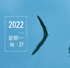 24DED20C-E940-4729-8B82-6B64D49AAC12/L0/001