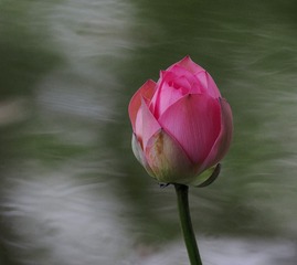 58503