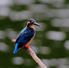 59201