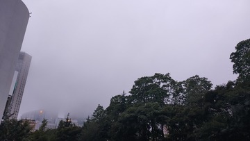 1000017954