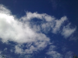 201208083788.jpg