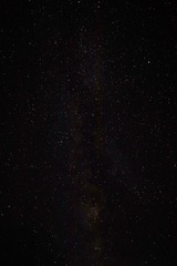 1000270902