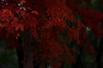 73940064-BF04-4194-AD07-774E615722D5/L0/001