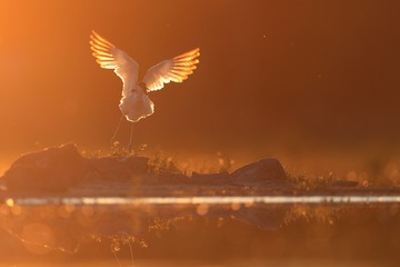 001