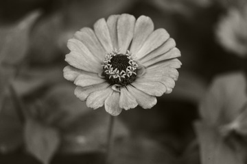 55D26460-EF5A-4905-B851-9FF3197BDD3F/L0/001