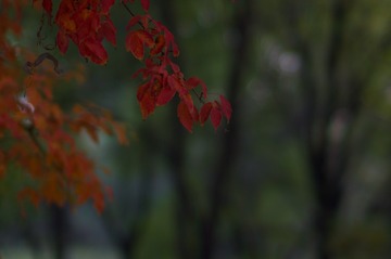 1D104850-5A3D-4ED5-8B89-D614D03E8A68/L0/001