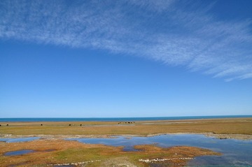 环青海湖 151.jpg