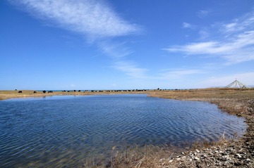 环青海湖 166.jpg
