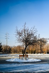 A28D6E6B-66BE-4387-AEEC-B70D70DA253D/L0/001