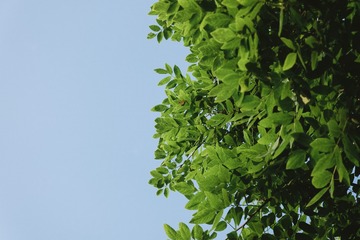 5A3E056E-8138-45DF-9283-98E5E03553FE/L0/001