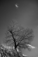 001