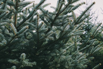 0DB09D86-F38B-48CE-8286-E8520A613980/L0/001