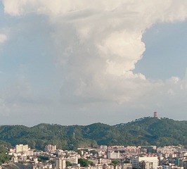 A3CC6242-52A7-4308-AAE5-001528C0283D/L0/001