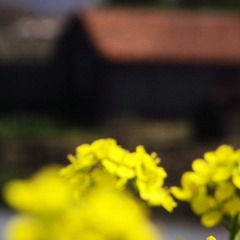 DSCF4437_副本.jpg