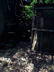 psbCA08TQZ1.jpg